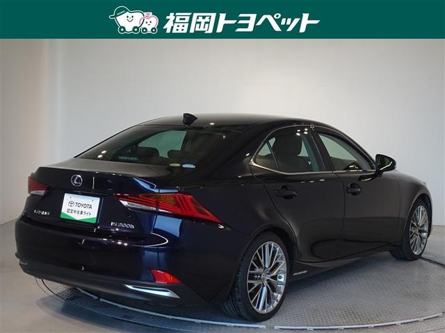 �F�͂��ꂢ�ȃf�B�[�v�u���[�}�C�J�ł��B