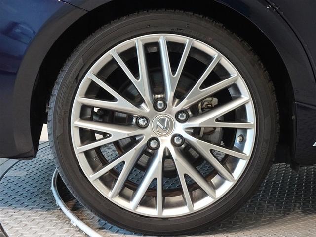 �������Ƒ����������������A�����A���~�𑕔����Ă��܂��B