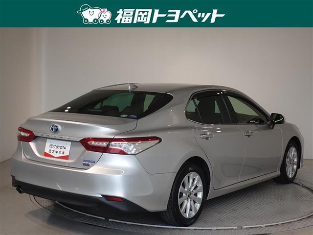 �F�͐����ȃV���o�[���^���b�N�ł��B