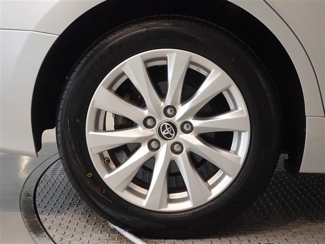 �������Ƒ����������������A�����A���~�𑕔����Ă��܂��B