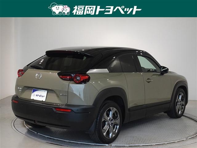 �F�͂��ꂢ�ȃu���E���ł��B