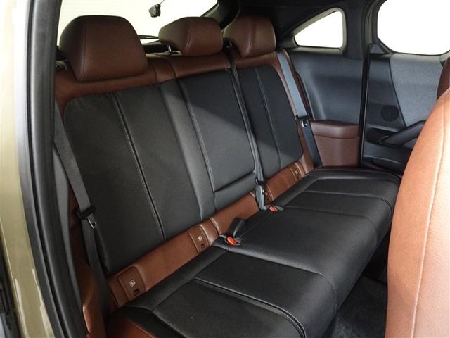 �l�̐G���V�[�g�͔O����ɐ��|�E���L�����{���Ă���܂��B