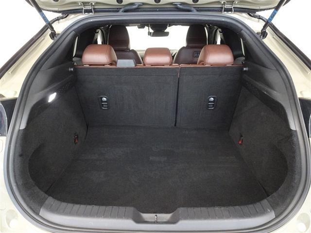 �T�l��Ԏ��ł��\���ȃX�y�[�X�̃g�����N���[���ł��B