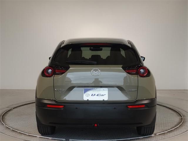 �c�J���̃o�b�N�h�A�ł��A�J�̓����G��ɂ����ł���B