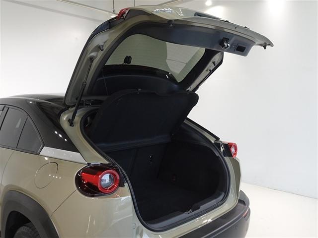 �o�b�N�h�A���J������Ԃł��B