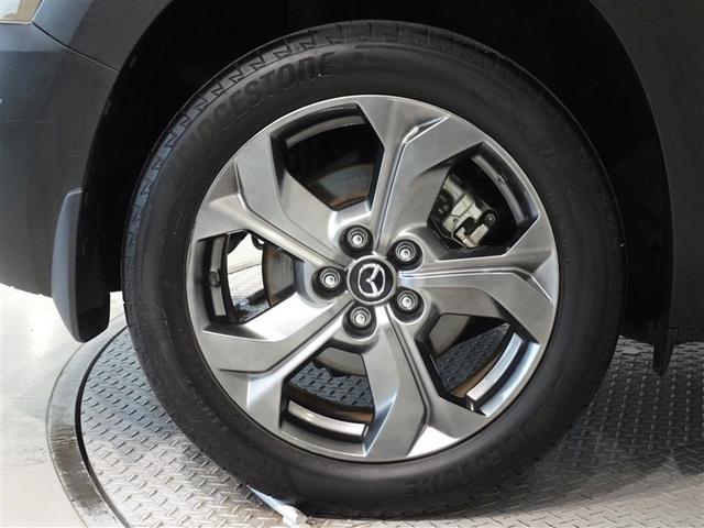 �������Ƒ����������������A�����A���~�𑕔����Ă��܂��B