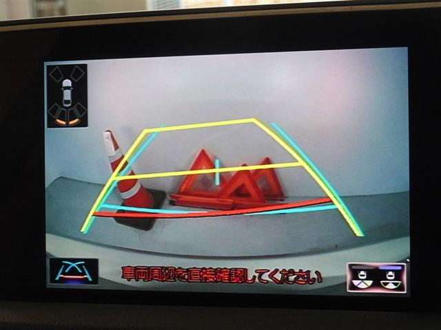 �o�b�N�K�C�h���j�^�[�𑕔����Ă��܂��A�Ԍɓ�������N���N�ł��B