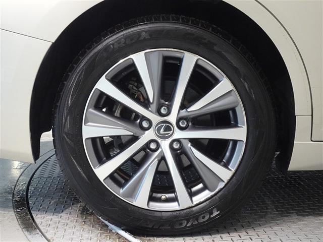 �������Ƒ����������������A�����A���~�𑕔����Ă��܂��B