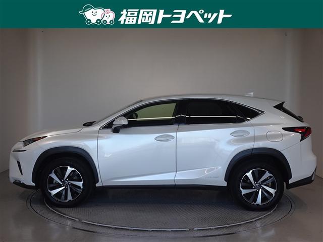 ���N�T�X�̐l�C�r�t�u�@�m�w�R�O�O���@�h�p�b�P�[�W�����ׂ��܂����B