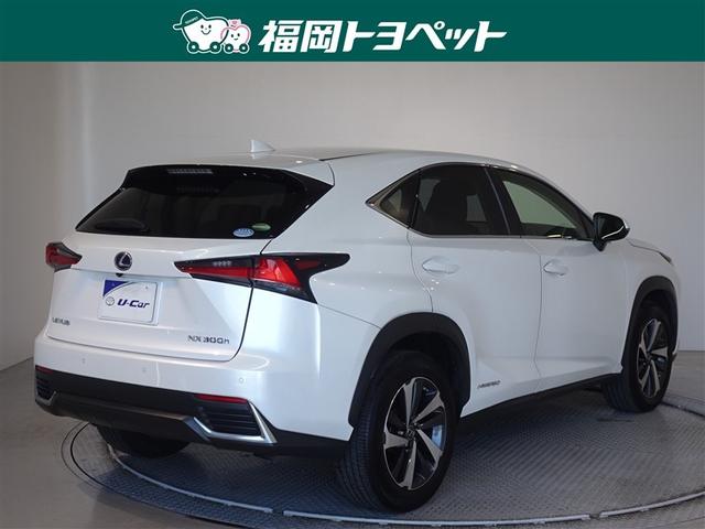 �F�͐l�C�̃\�j�b�N�N�H�[�c�ł��B