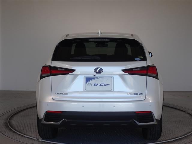 �c�J���̃o�b�N�h�A�ł��A�J�̓����G��ɂ����ł���B