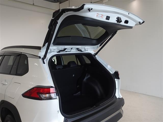 �o�b�N�h�A���J������Ԃł��B