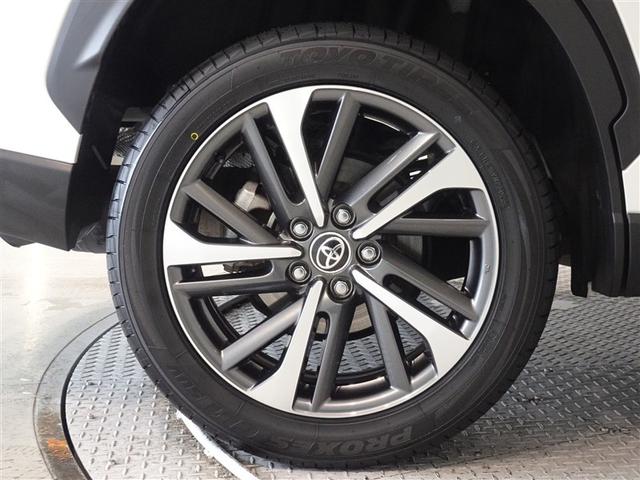 �������Ƒ����������������A�����A���~�𑕔����Ă��܂��B