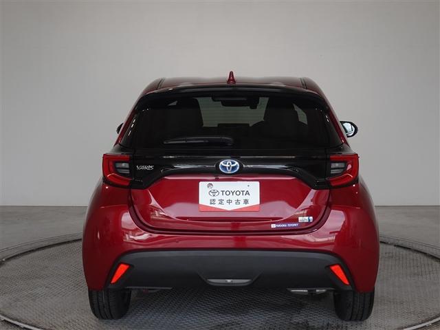 �c�J���̃o�b�N�h�A�ł��A�J�̓����G��ɂ����ł���B