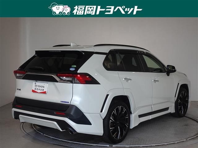 �F�͐l�C�̃z���C�g�p�[���N���X�^���V���C���ł��B