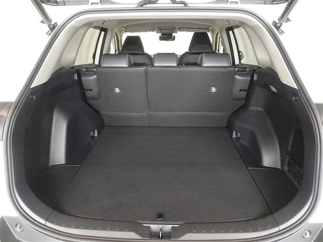 �T�l��Ԏ��ł��\���ȃX�y�[�X�̃g�����N���[���ł��B