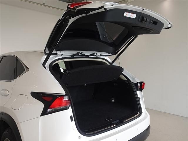 �o�b�N�h�A���J������Ԃł��B