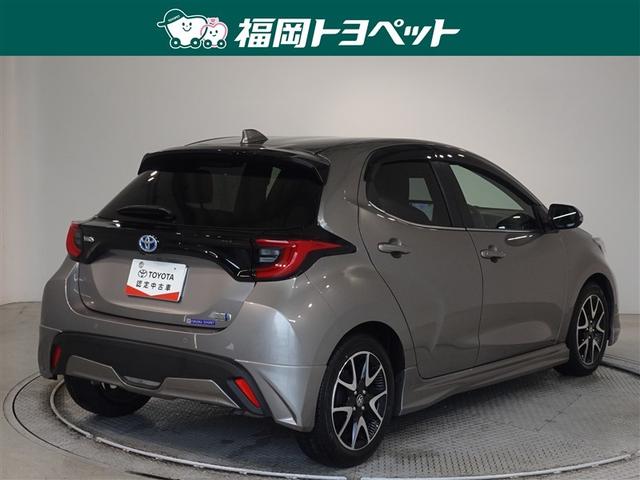 �F�͐����ȃA�o���M�����h�u�����Y���^���b�N�ł��B