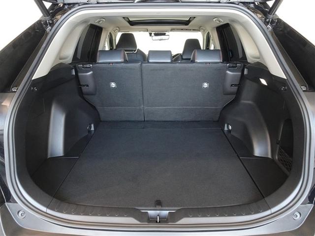 �T�l��Ԏ��ł��\���ȃX�y�[�X�̃g�����N���[���ł��B