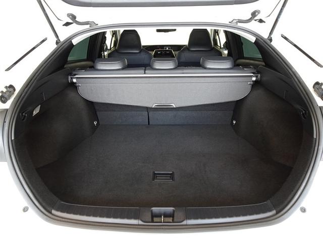 �T�l��Ԏ��ł��\���ȃX�y�[�X�̃g�����N���[���ł��B