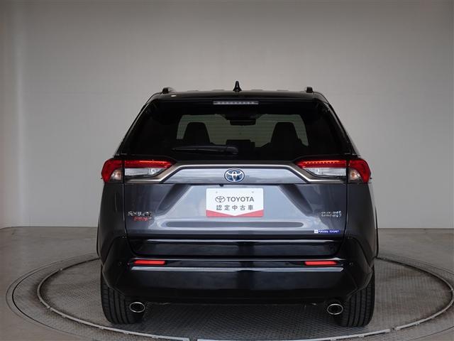 �c�J���̃o�b�N�h�A�ł��A�J�̓����G��ɂ����ł���B