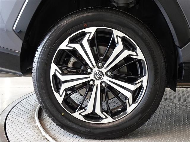 �������Ƒ����������������A�����A���~�𑕔����Ă��܂��B