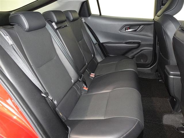 �l�̐G���V�[�g�͔O����ɐ��|�E���L�����{���Ă���܂��B