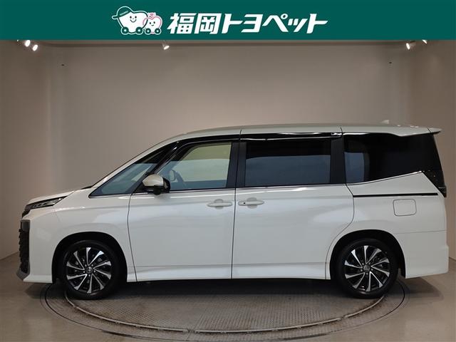 �g���^�̂V�l�̂�~�j�o���A���H�N�V�[�n�C�u���b�h�@�r�|�y�����ׂ��܂����B