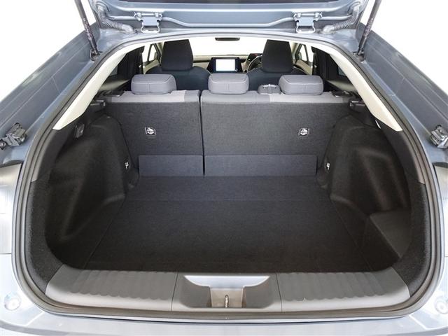 �T�l��Ԏ��ł��\���ȃX�y�[�X�̃g�����N���[���ł��B