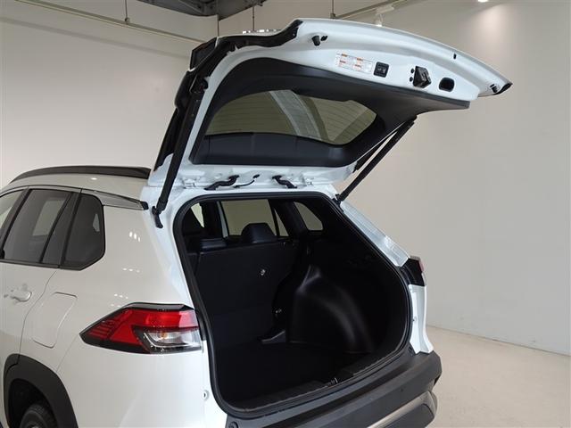 �o�b�N�h�A���J������Ԃł��B