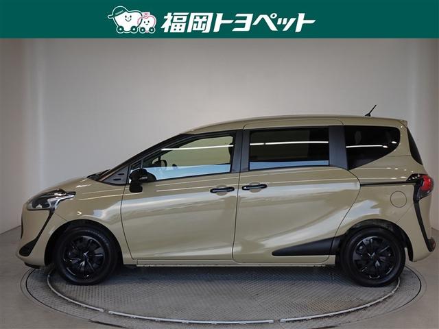 �g���^�̂V�l���R���p�N�g�~�j�o���A�V�G���^�@�f�@�O�����p�[�����ׂ��܂����B