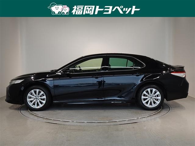 �g���^�̏㋉�Z�_���A�J�����@�v�r�����ׂ��܂����B