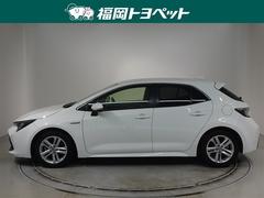 �ȥ西�ο͵��������饷�꡼�����������饹�ݡ��ĥϥ��֥�åɡ��Ǥ����٤��ޤ����� 2