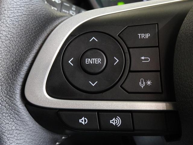 ライズ Ｚ　衝突被害軽減システム　メモリーナビ　フルセグ　バックカメラ　ＥＴＣ　ＬＥＤヘッドランプ　スマートキー（13枚目）