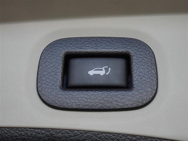 エクストレイル 20Xt エマージェンシーブレーキパッケージ 衝突被害軽減システム メモリーナビ フルセグ バックカメラ ETC LEDヘッドランプ スマートキー(22枚目)