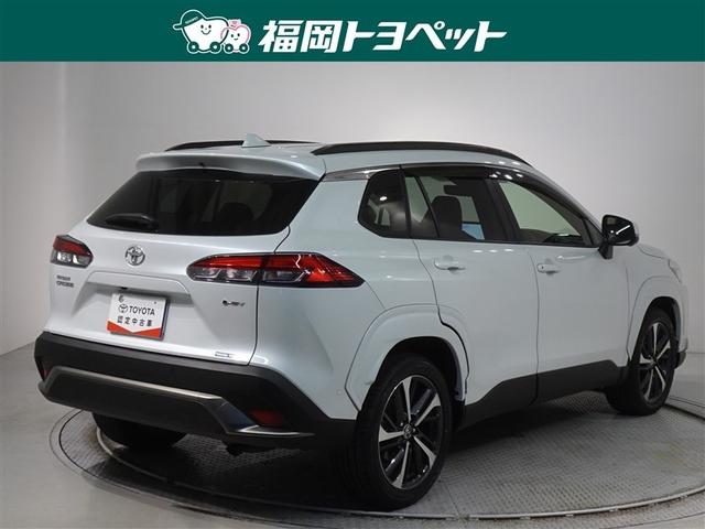 �F�͐l�C�̃v���`�i�z���C�g�p�[���}�C�J�ł��B