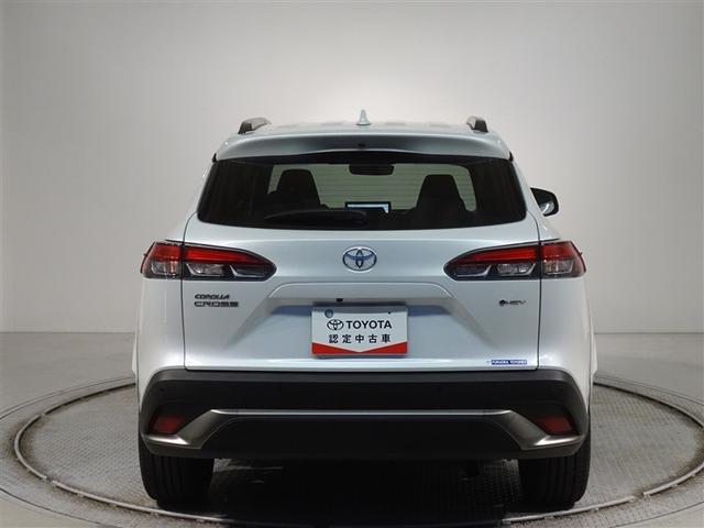 �c�J���̃o�b�N�h�A�ł��A�J�̓����G��ɂ����ł���B