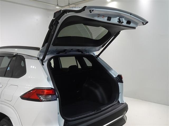 �o�b�N�h�A���J������Ԃł��B