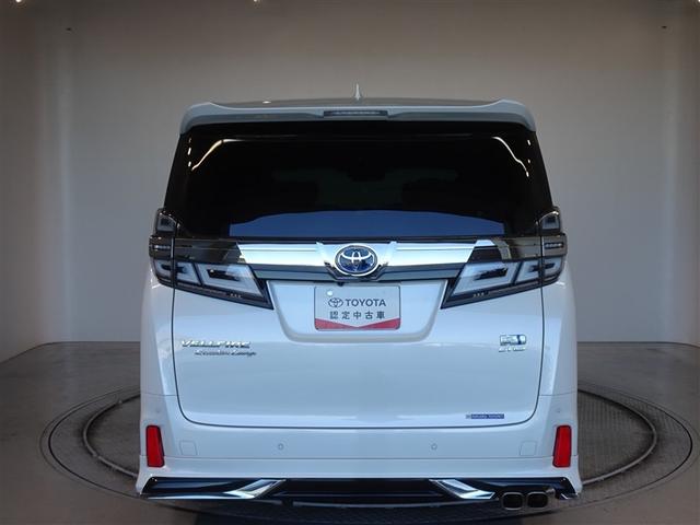 �c�J���̃o�b�N�h�A�ł��A�J�̓����G��ɂ����ł���B