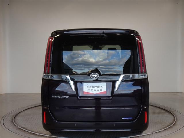 �c�J���̃o�b�N�h�A�ł��A�J�̓����G��ɂ����ł���B