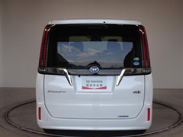 �c�J���̃o�b�N�h�A�ł��A�J�̓����G��ɂ����ł���B