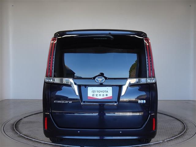 �c�J���̃o�b�N�h�A�ł��A�J�̓����G��ɂ����ł���B