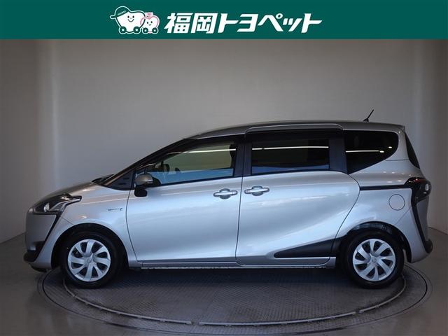 �g���^�̂V�l���R���p�N�g�~�j�o���A�V�G���^�n�C�u���b�h�@�f�����ׂ��܂����B