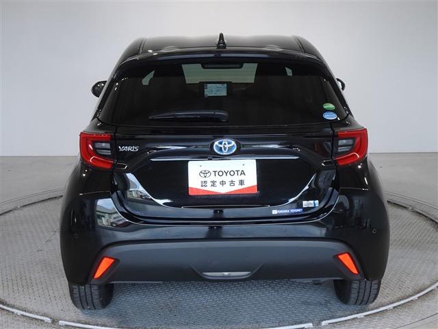 �c�J���̃o�b�N�h�A�ł��A�J�̓����G��ɂ����ł���B