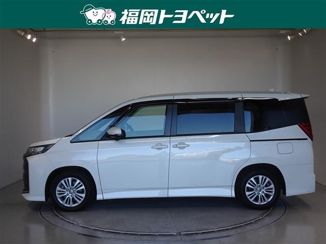 �g���^�̐l�C�~�j�o���A�m�A�@�r�|�f�����ׂ��܂����B�W�l���ł��B