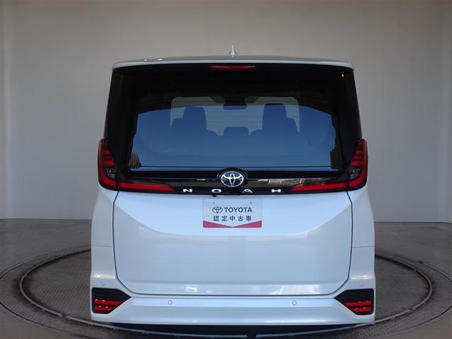 �c�J���̃o�b�N�h�A�ł��A�J�̓����G��ɂ����ł���B