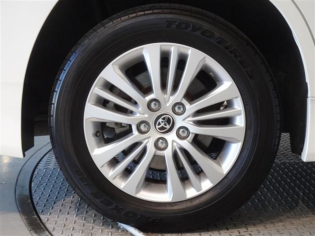 �������Ƒ����������������A�����A���~�𑕔����Ă��܂��B