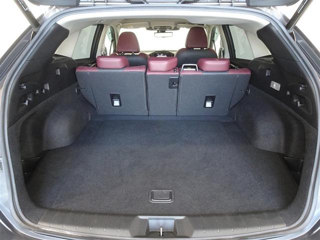 �T�l��Ԏ��ł��\���ȃX�y�[�X�̃g�����N���[���ł��B