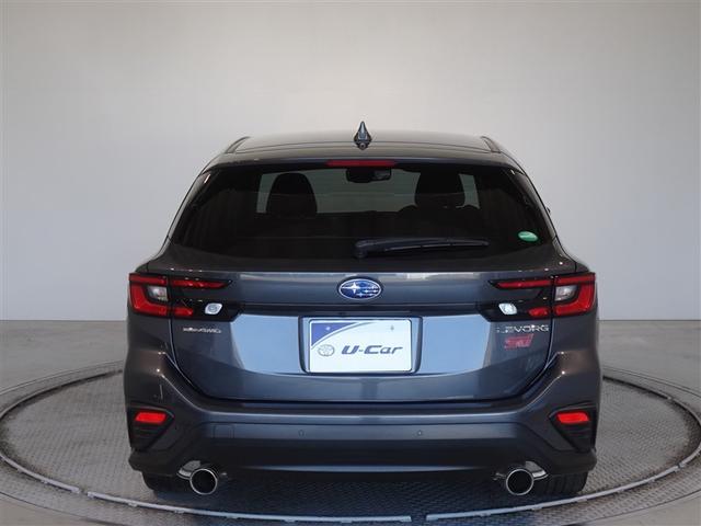 �c�J���̃o�b�N�h�A�ł��A�J�̓����G��ɂ����ł���B