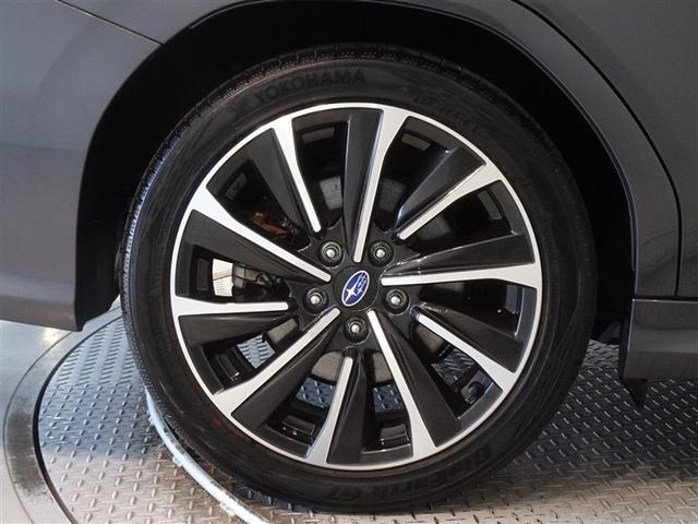 �������Ƒ����������������A�����A���~�𑕔����Ă��܂��B